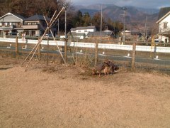 DSCF2801