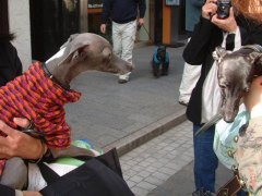 DSCF0011-02