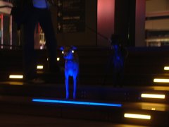 DSCF0072