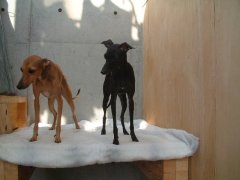 DSCF0538