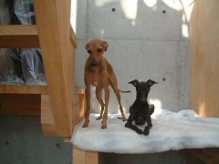 DSCF0564