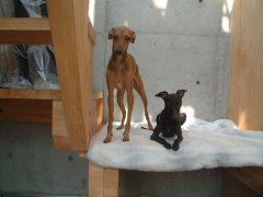DSCF0568