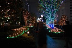 DSC_0241-02