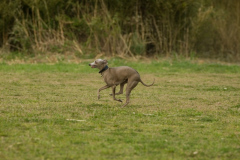 DSC_5739-02