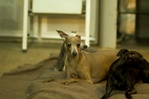 thumb_DSC_8160