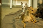 thumb_DSC_8162