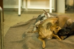 thumb_DSC_8163