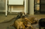 thumb_DSC_8169