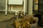 thumb_DSC_8171