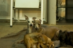 thumb_DSC_8174