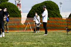 BC6_6965