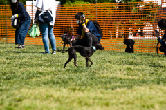 BC6_6971