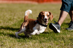 BD1_4609