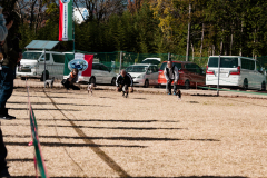 BD2_6575