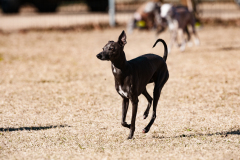 BD2_6968