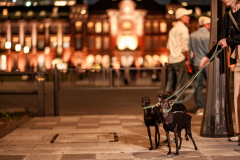 BD3_7799