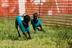 BD3_8257