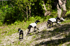 BD3_8588