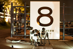 BD4_1848