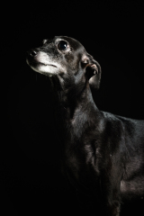 0047