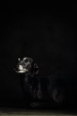 0065