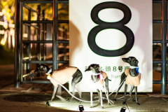 BD5_3447