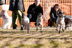 BD5_7109