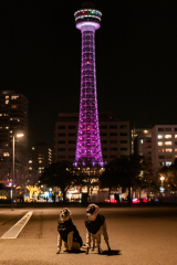 BD5_7534