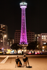 BD5_7536