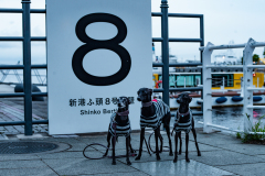 BD5_0411